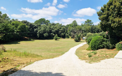 Est, 20mn de Sarlat  France