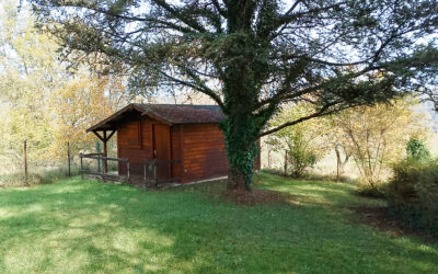 St Cyprien, 24220, Vallée de la Dordogne