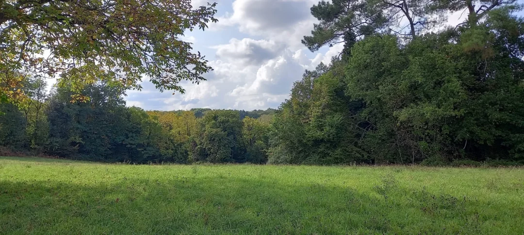 Salignac Eyvigues (24590), Périgord Noir