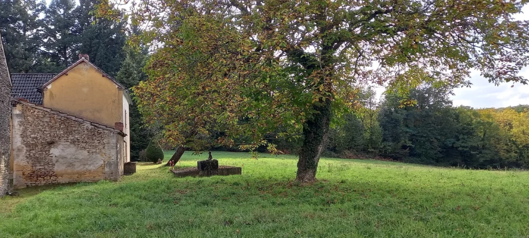 Salignac Eyvigues (24590), Périgord Noir