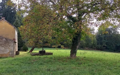 Salignac Eyvigues (24590), Périgord Noir